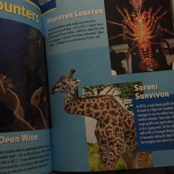 Ripley’s Book - Picture 3 of 3